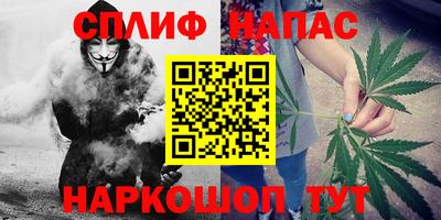 стаф Заводоуковск