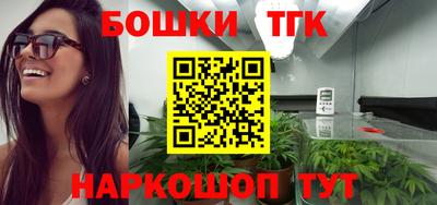 стаф Заводоуковск