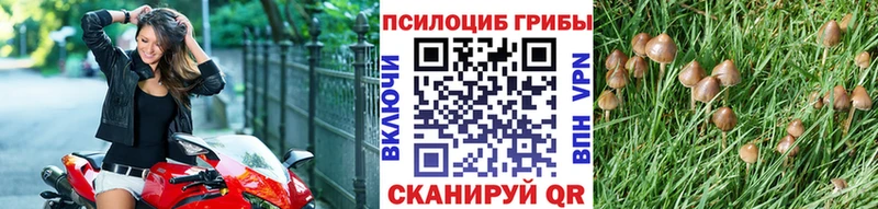 где можно купить наркотик  Лянтор  Псилоцибиновые грибы ЛСД 